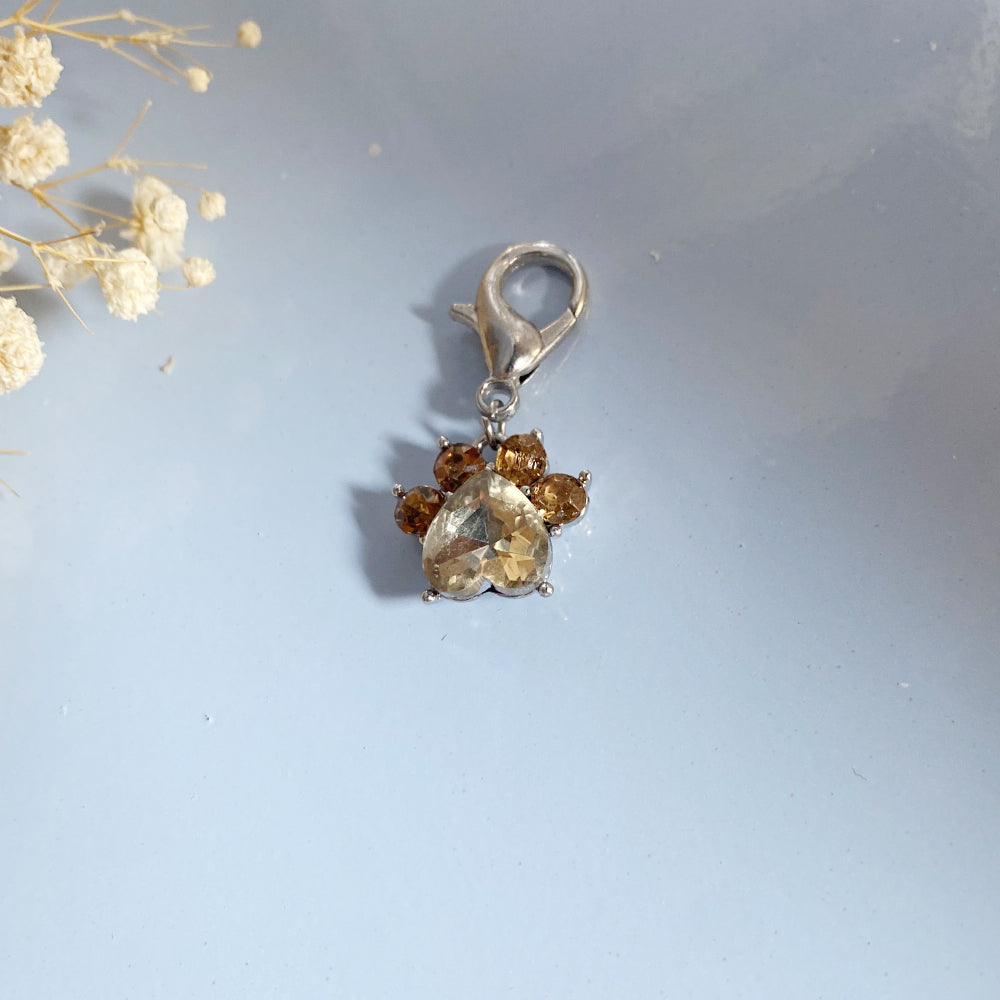 Paw Print Birthstone Keychains