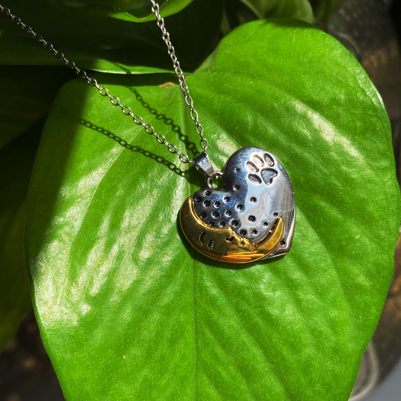 A Piece of My Heart Moon Paw Necklace