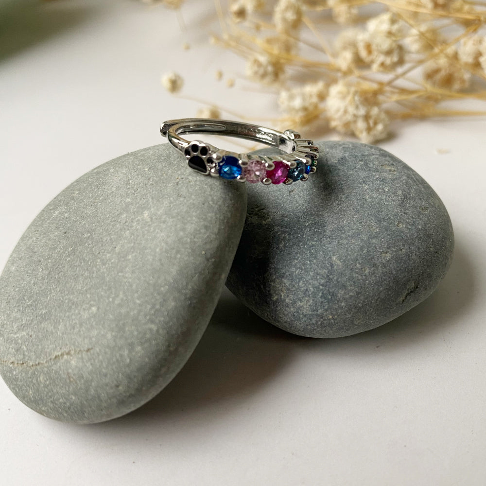 Seasonal Rings Rainbow Bridge Ring – Seasonal Paws