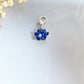 Paw Print Birthstone Keychains