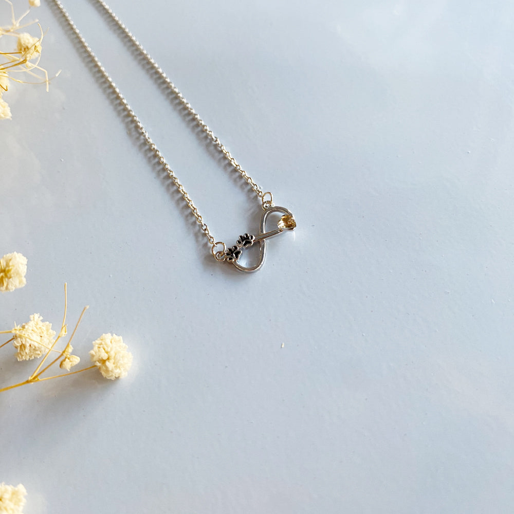 Infinity Birthstone Paw Print Necklaces