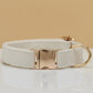 Velvet Dog Collar & Leash