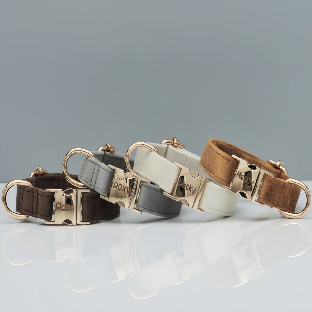 Velvet Dog Collar & Leash