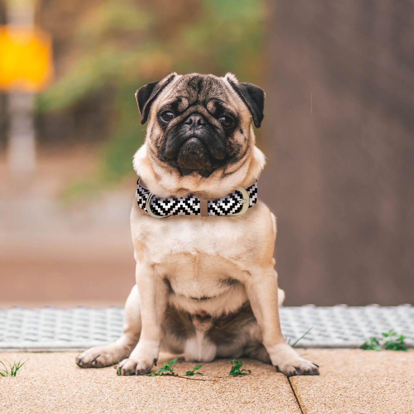 Black n' White Collar and Bracelet Set