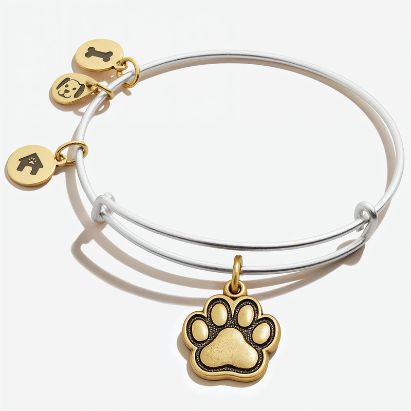 Paw Charm Journey Bangle