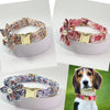 Pearl Flower Patterned Collar & Leash